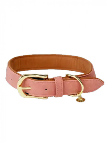 Collier pour Chien Vegan leather Kentucky