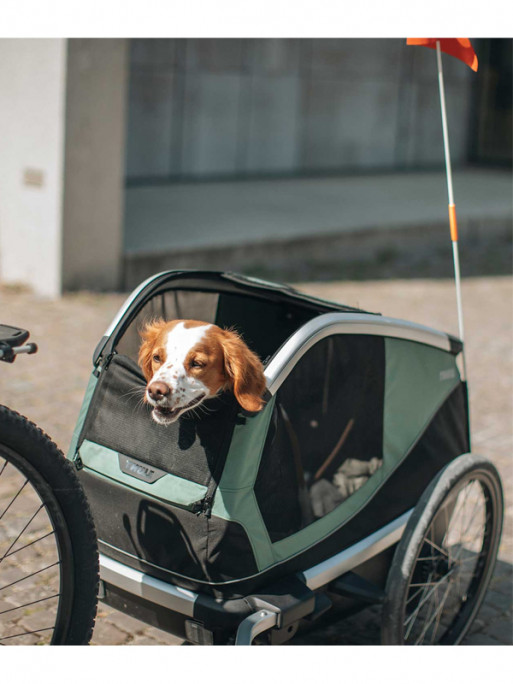 Remorque velo pour chien Thule Bexey Transport chien