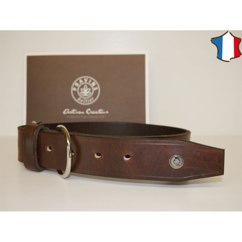 Collier en Cuir Pour Grand Chien Pravins (Taille 5)