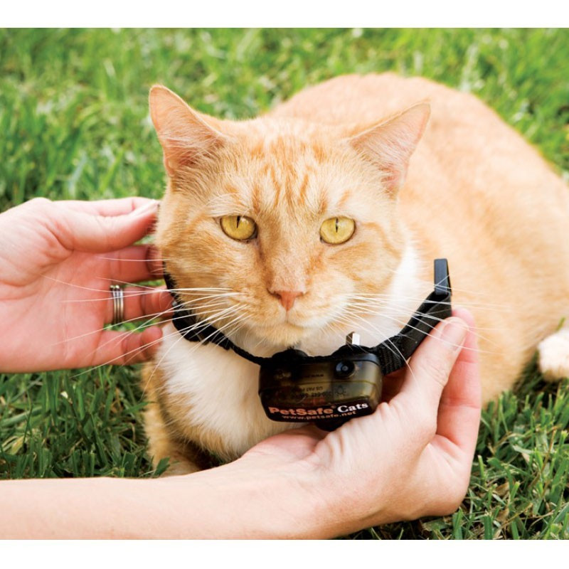 Clôture anti-fugue de luxe avec fil pour chats In-Ground Cat Fence
