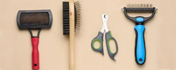 Brosses, peignes & gants